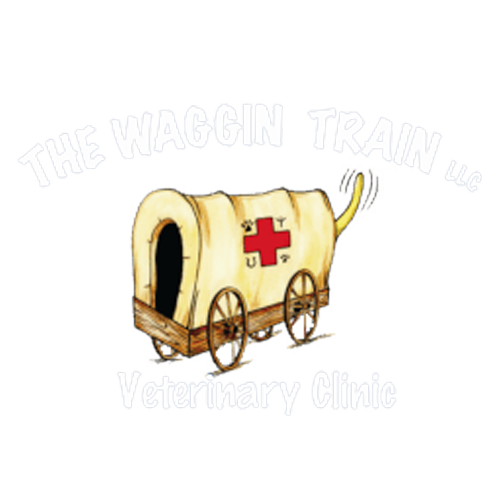 The Waggin' Train Veterinary Clinic